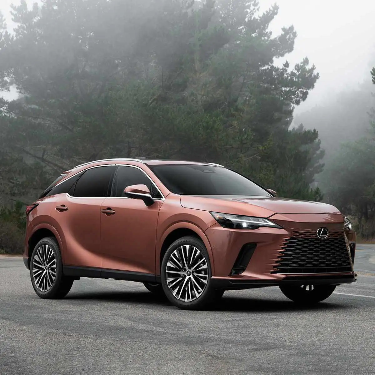 Lexus RX350 2025 Việt Nam: Kh&aacute;m Ph&aacute; Chi Tiết 4 Phi&ecirc;n Bản v&agrave; Gi&aacute; B&aacute;n Mới Nhất