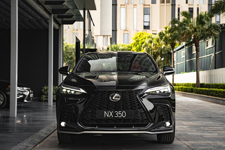 Lưu nháp tự động